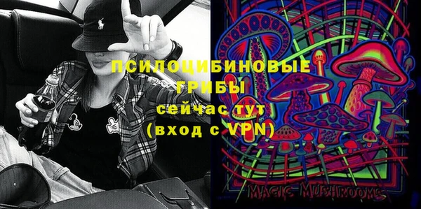 круглые Алзамай