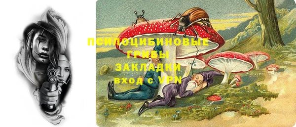 дмт Алексеевка