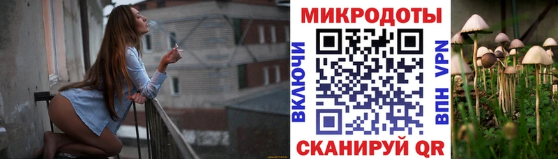 Псилоцибиновые грибы прущие грибы  цены наркотик  Тарко-Сале 